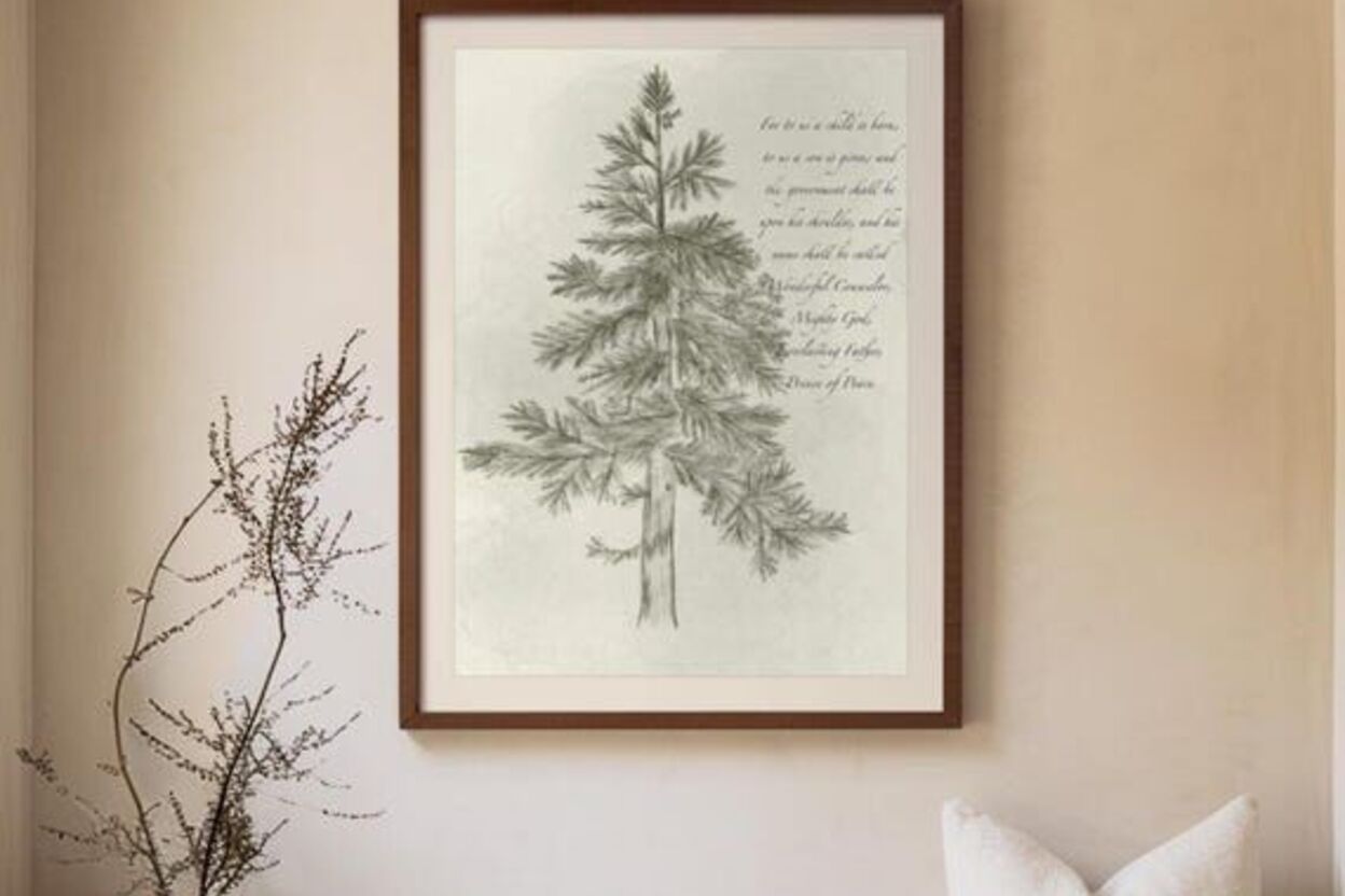 Rooted In Refuge