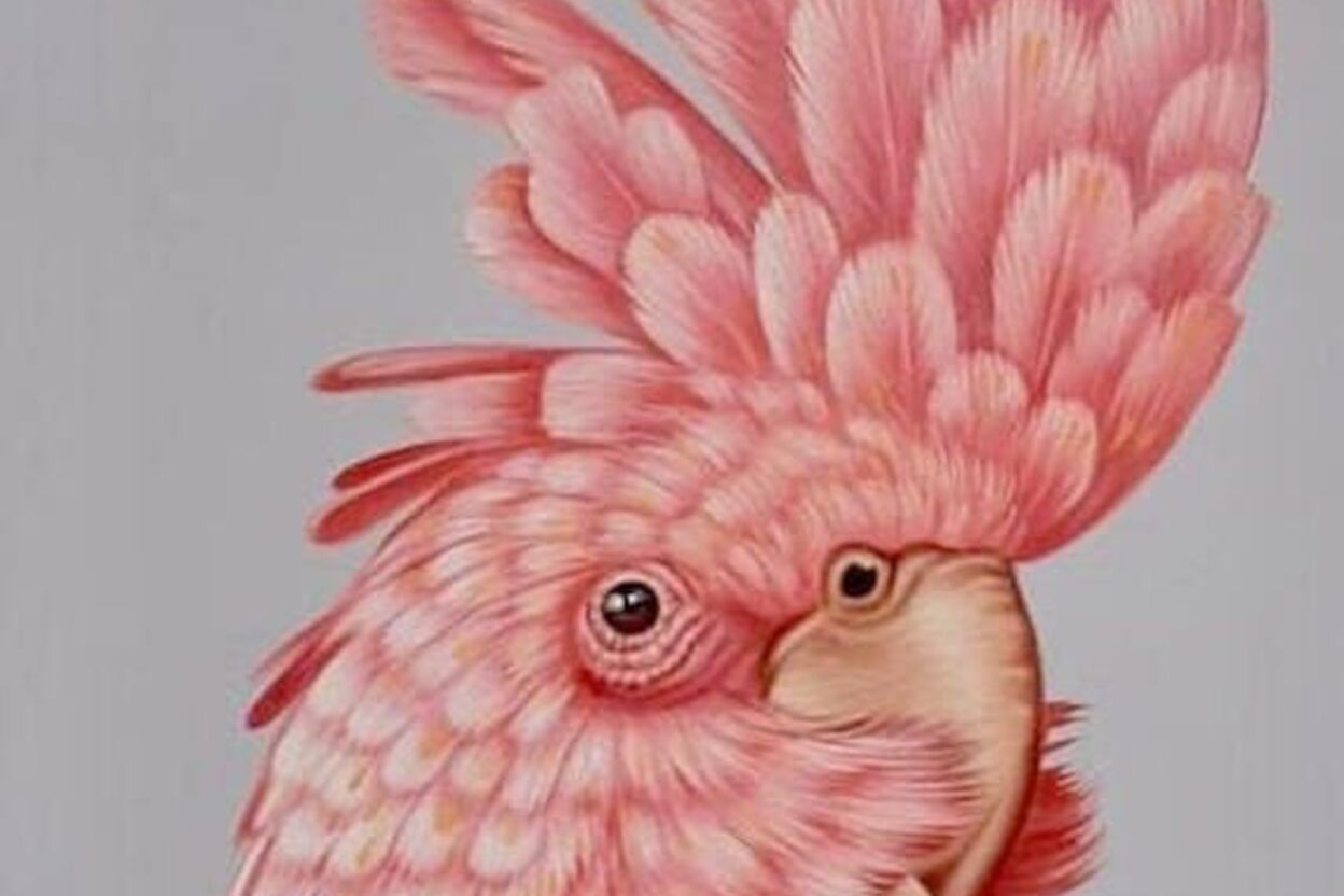 Soya Contemporary Art