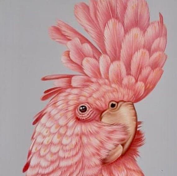 Pink Parrot Painting, ORIGINAL Wall Art...