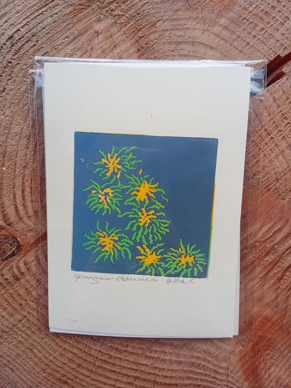 Analogish Sphagnum Obtusum Reduction Print...