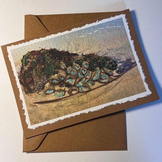 Sea Anemone Photograph Greeting Card: Montere...