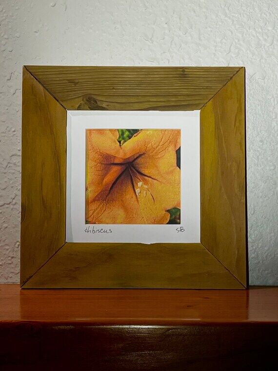 Hibiscus, Flower, Original Photograph, Handma...