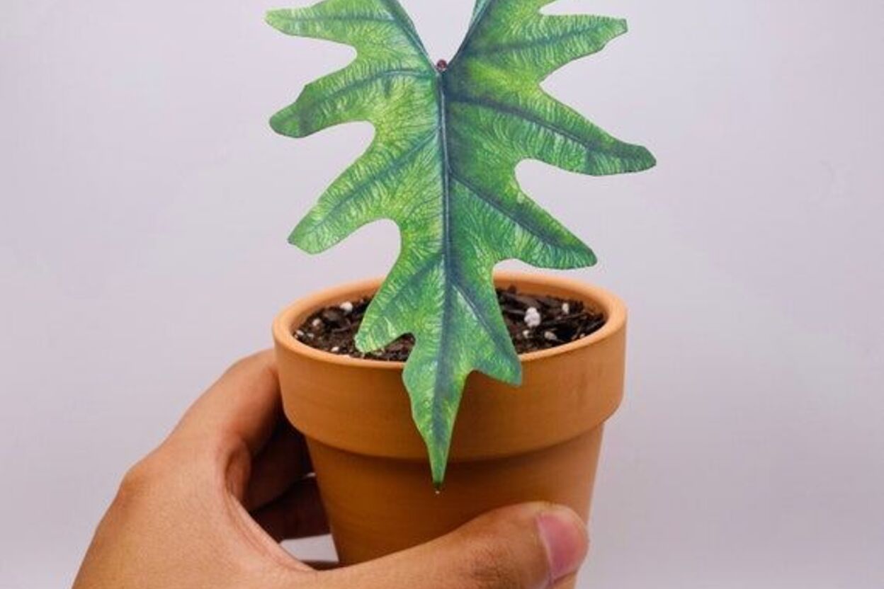 Emerald Thumb