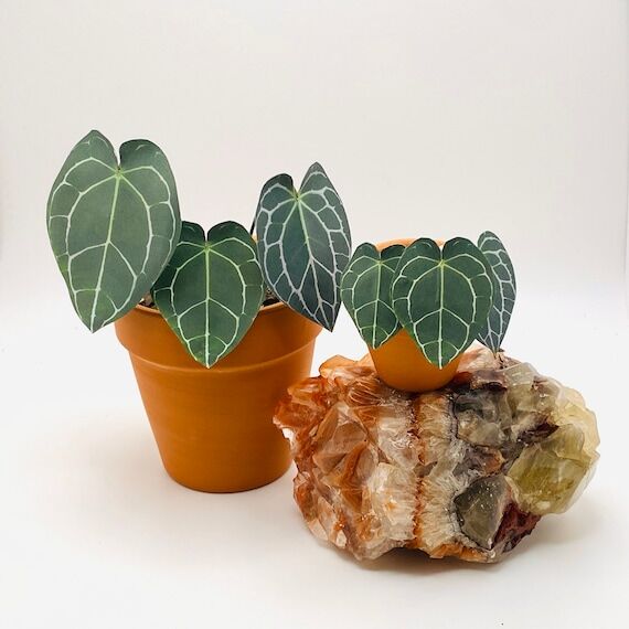 Handmade Paper Anthurium Plant Set – Pet Fr...