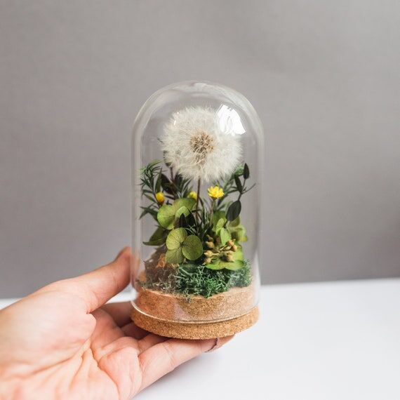 Handmade Preserved Dandelion in Glass Dome: D...