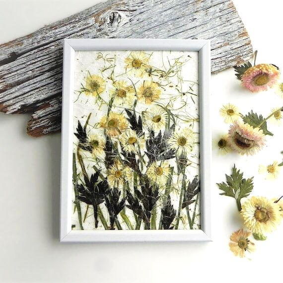 Daisy dried flower framed wall art, hygge hom...