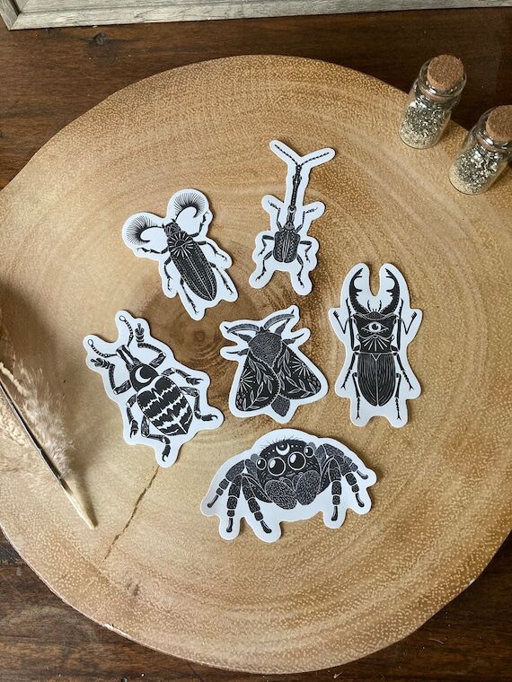 Entomology Vinyl Stickers: Jumping Spider, Mo...