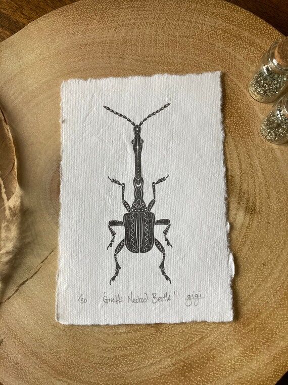 Giraffe Necked Beetle Art Print: Signed Limit...