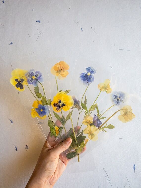 Pansy flower bookmark,Pressed flower bookmark...