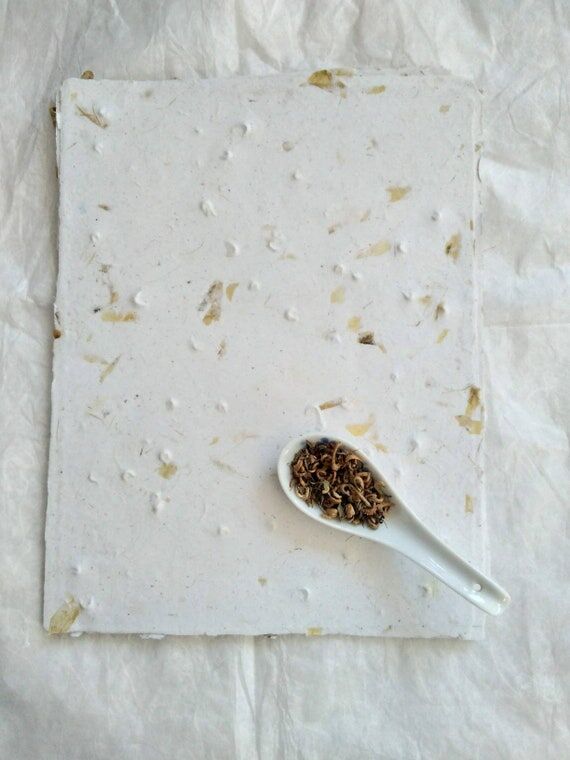 Calendula Seed Paper, Calendula seed paper, s...