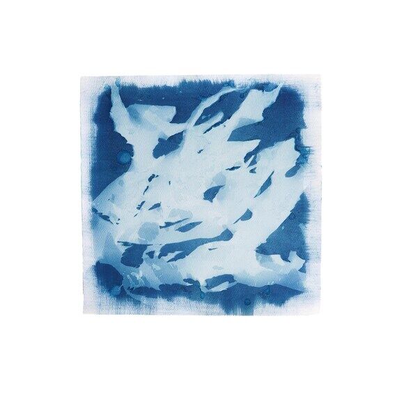 North — Original Cyanotype Art, Abstract Bl...