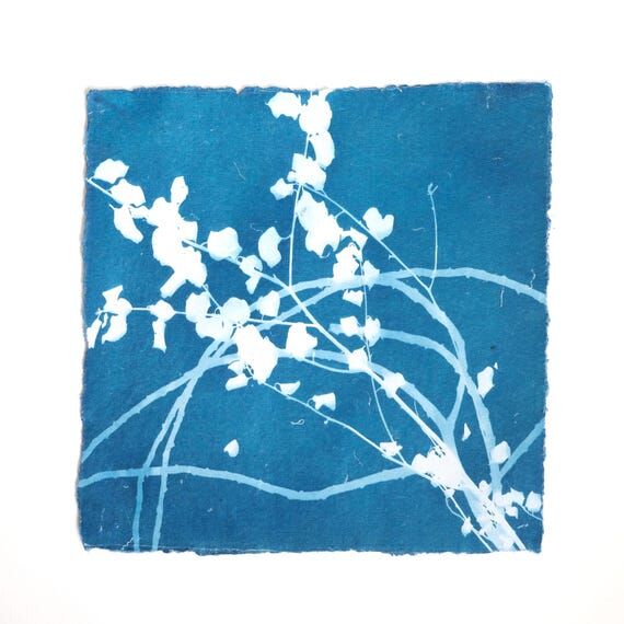 Botanical Cyanotype Print “Held” – Orig...