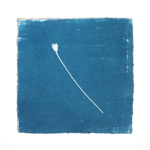 Wildflower Cyanotype Print “Flor” – Ori...
