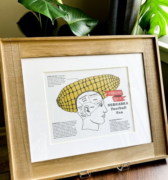 Anatomy of a Nebraska Football Fan 8x10 lette...