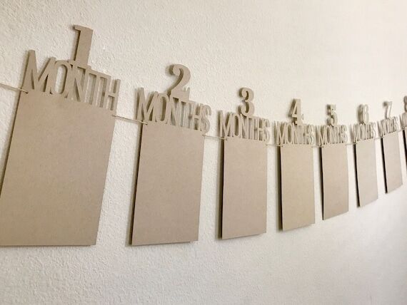 First Birthday Photo Banner: Monthly Baby Pic...