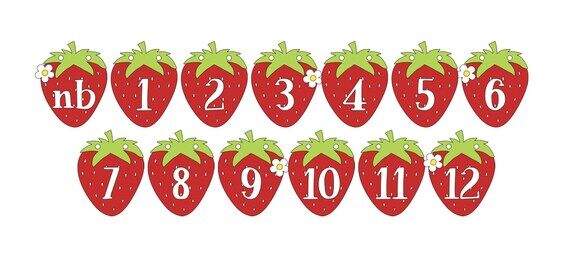 Red Pink Strawberry Monthly Photo Banner Pape...