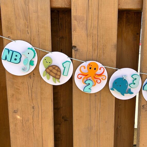 Under the Sea Monthly Milestone Photo Banner ...
