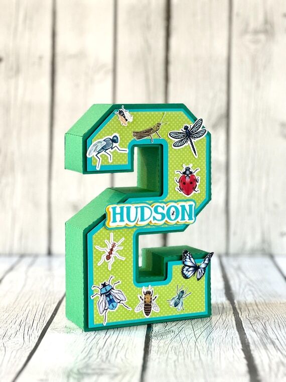 Bug Birthday Number: 3D Insect Party Centerpi...