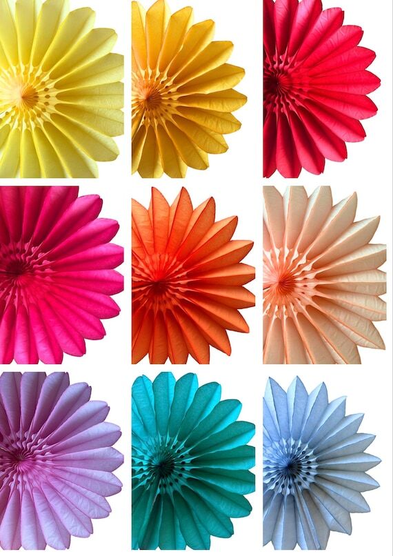 Large Paper Fans: 26" Colorful Party Dec...