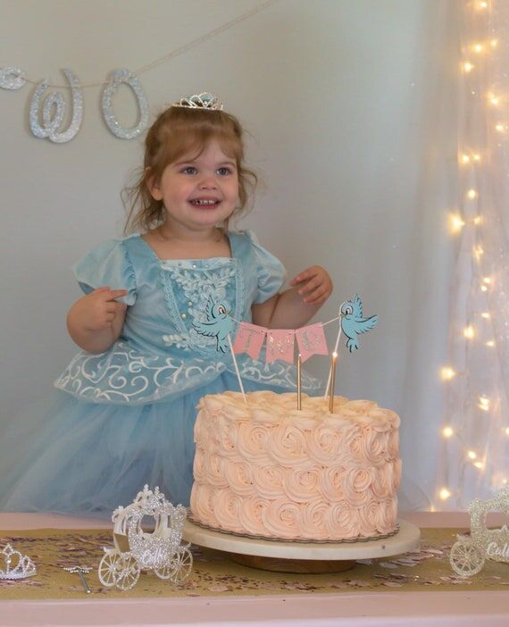 Cinderella Cake Topper Blue Birds Princess Fi...