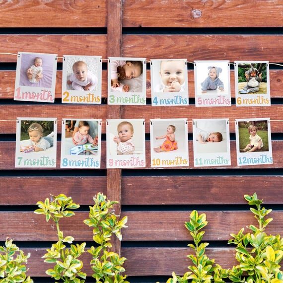 One Year Photo Banner, Numbered Months Milest...