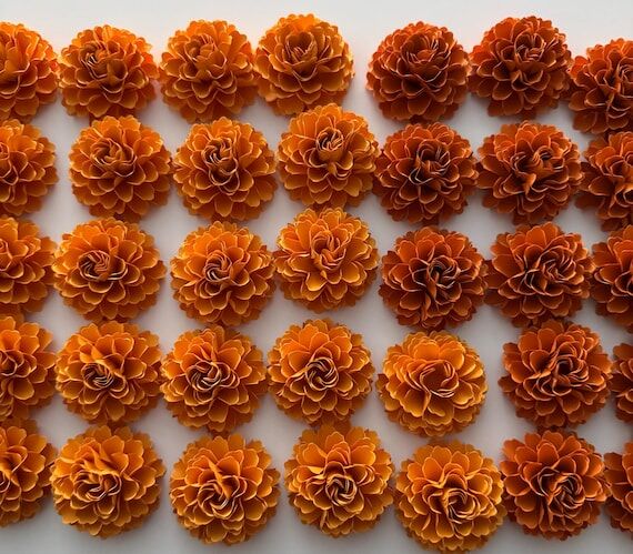 Cempasuchil (Marigold) Flower Kit Dia del los...