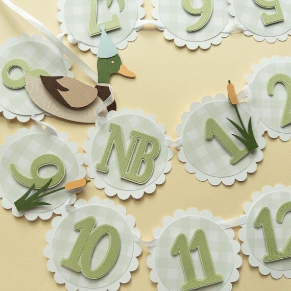 Mallard Duck Photo Banner: First Year Baby Pi...