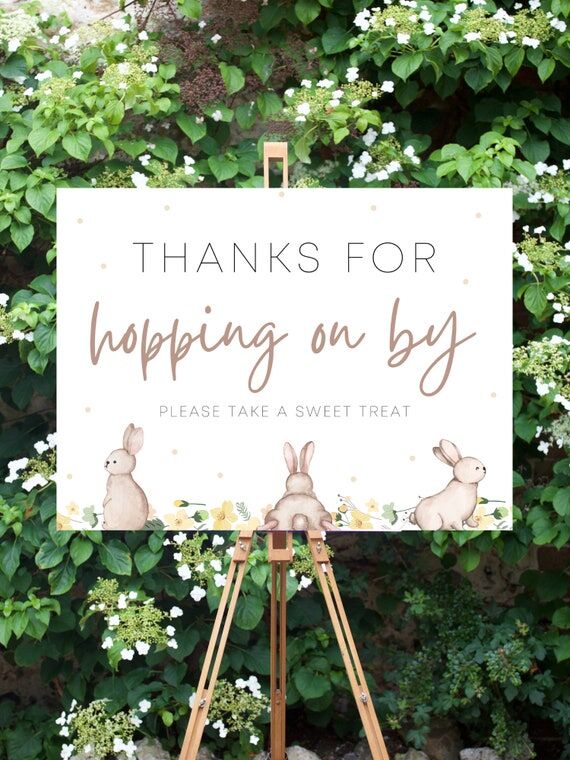 Favors Sign Flopsy Bunny Birthday Sign | Pete...