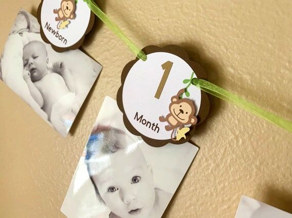 Monkey 1st Year Photo Banner, Jungle Birthday...