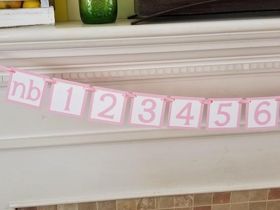 12 month photo banner - pink girl decor decor...