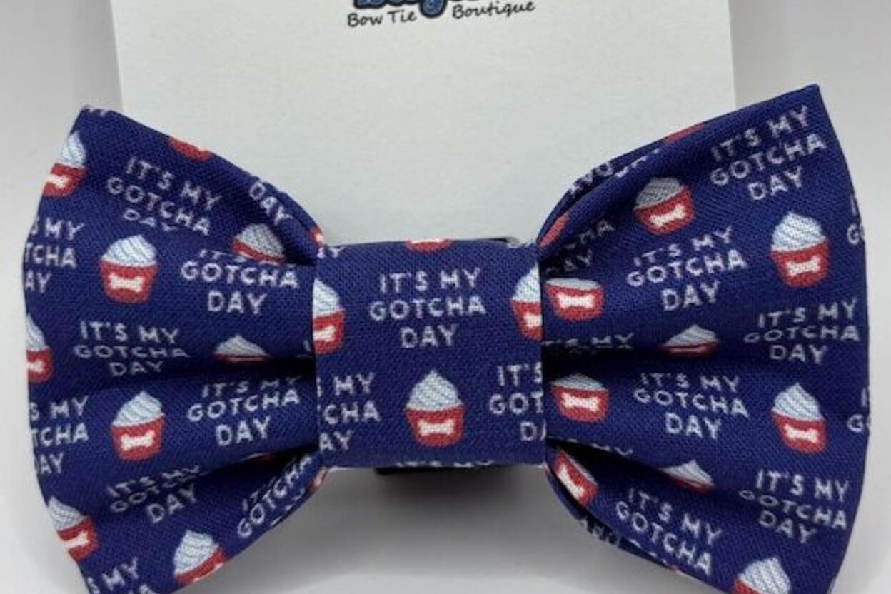Baylors Bow Ties