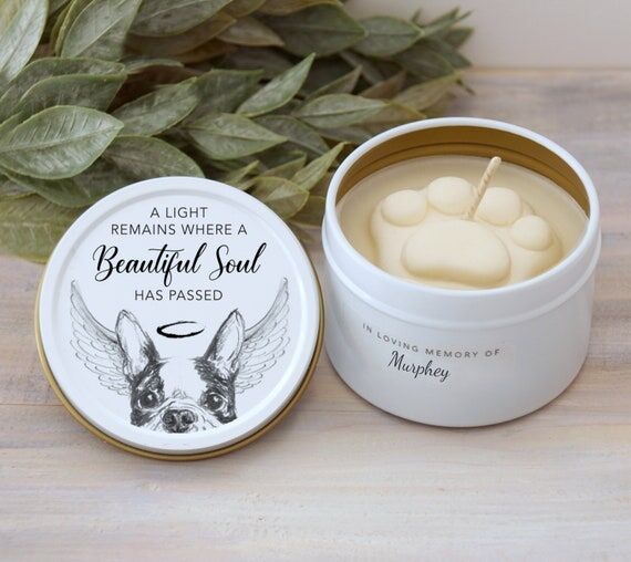 Personalized Dog Memorial Candle: Boston Terr...