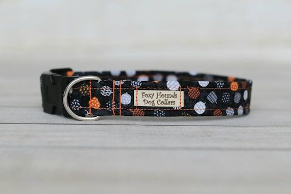 Patterned Pumpkins Dog Collars, Autumn, Hallo...