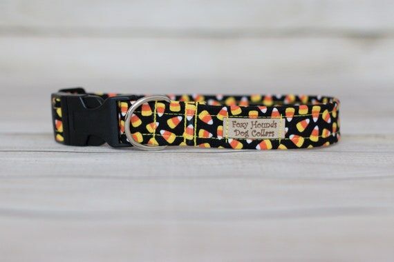 Halloween Candy Corn Dog Collar, Handmade, Ad...