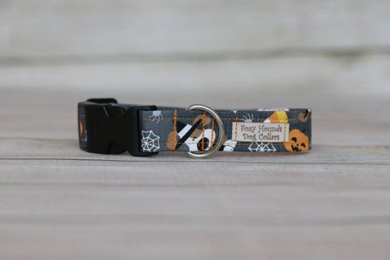 Halloween Pup Dog Collar, Pumpkin, Spooky, Sp...