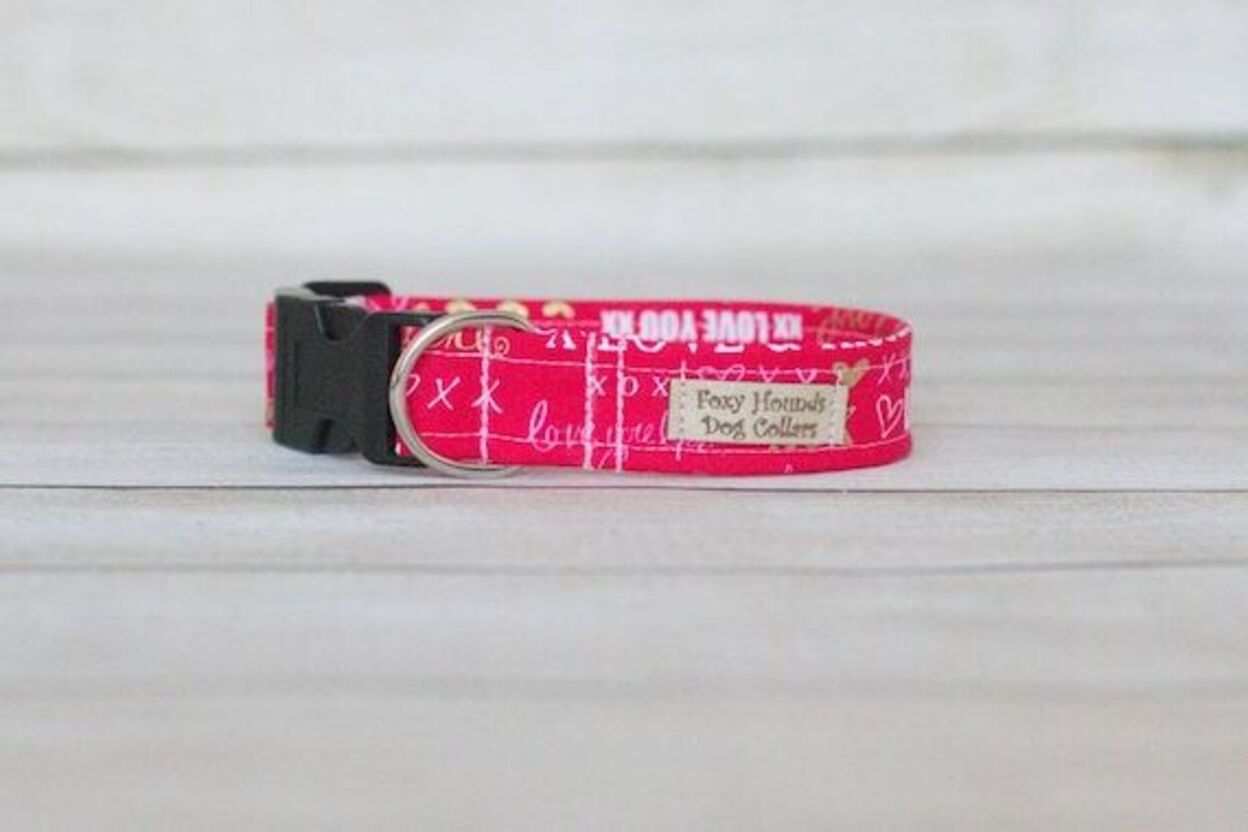 Foxy Hounds Dog Collars