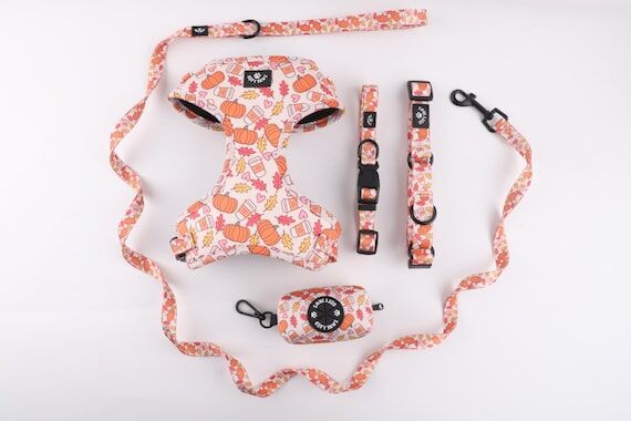 Autumn Dog Harness and Leash Set, Pumpkin Spi...