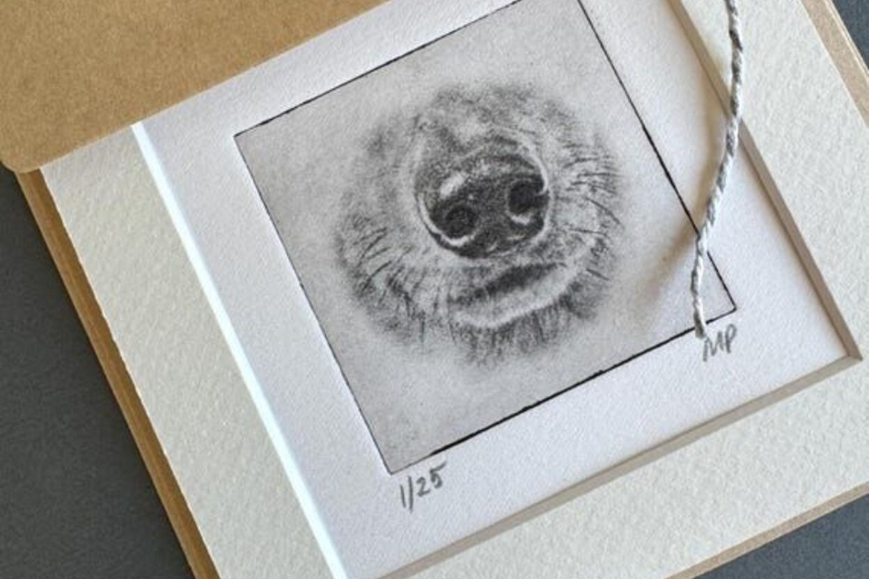 Greyboy Pet Prints