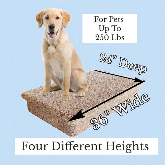 Extra Wide Dog Stairs for Vehicle, Dog Steps ...