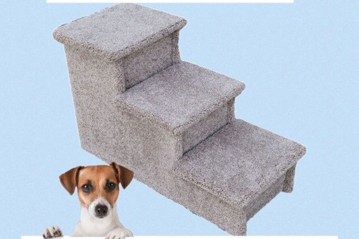 Hampton Bay Pet Steps