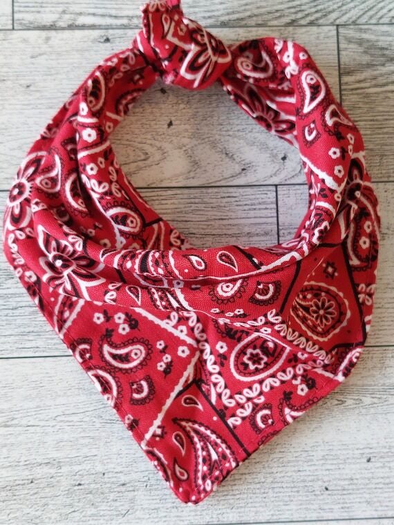 Red Paisley Cotton Dog Bandana | Personalized...