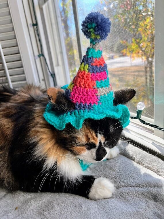 Crochet Cat Birthday Hat: Party Costume with ...