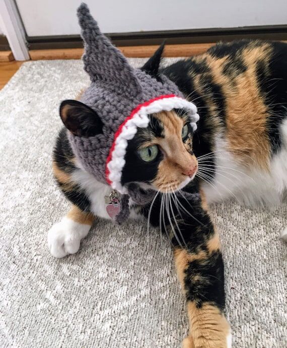 Crochet Shark Cat Hat, Funny Pet Costume...