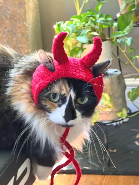 Crochet Devil Cat Hat: Small to Medium Cat Co...