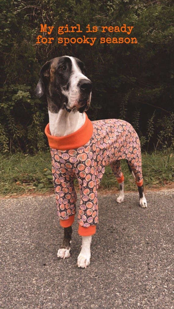 custom pajamas for dogs, large dog pjs, dog c...