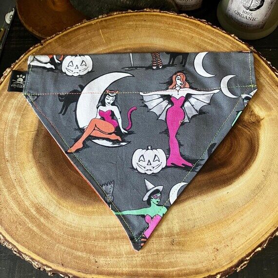 Halloween Handmade Witch Dog Bandana: Spooky ...