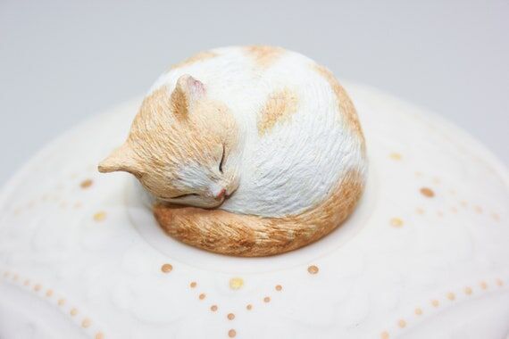 Cat Urn for Orange Tabby, Ginger Cat: Cremati...
