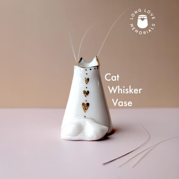 Cat Whisker Holder: Small Ceramic Vase for Ca...