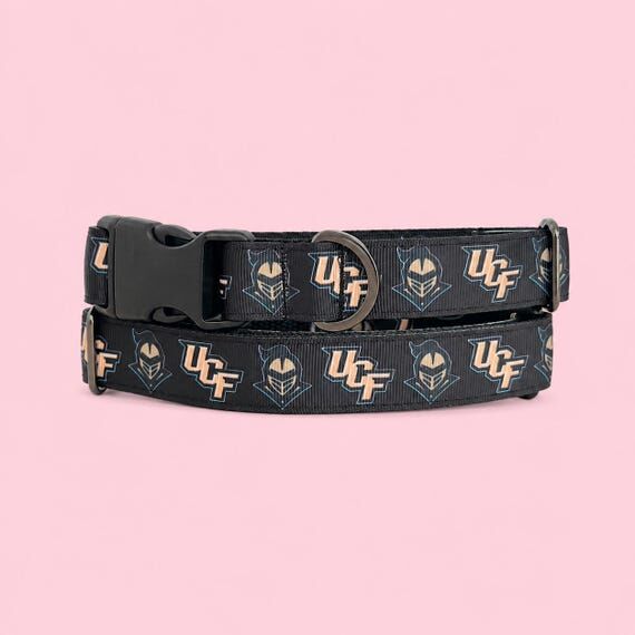 UCF Knights Dog Collar, University of Central...