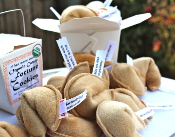 Cat Fortune Cookies | Gift for New Cat | Catn...